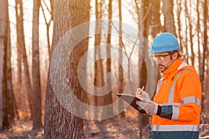 Forestry technician writing notes on clipboard notepad paper in forest