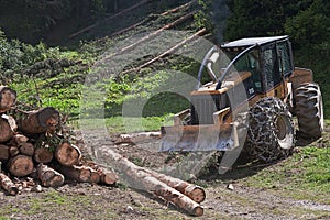 forestry work