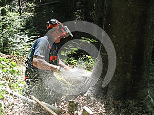 Forestry worker with a chainsaw