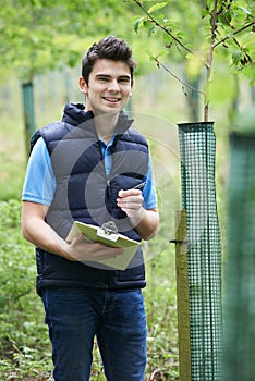 Forestry Worker With Clipboard Checking Young Trees