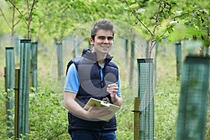 Forestry Worker With Clipboard Checking Young Trees