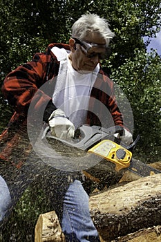 Forestry worker cutting tree with chainsaw