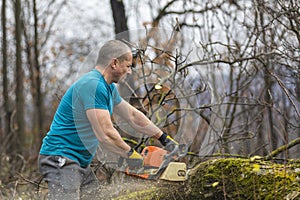 Forestry worker - lumberjack works with chainsaw. He cuts a big