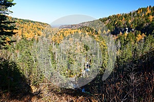 The forests in the canyon of Changbai mountains