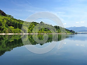 Forests reflected in Liptovska Mara, Slovakia