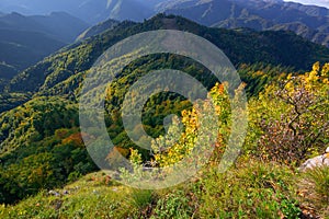 Forests of Starohorske vrchy from Jelenska skala rock