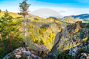 Forests at Sunset overlooking Sierra Neveda Mountains of Lake Tahoe , California