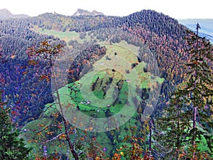 Forests in the Thur River valley or in the Thurtal valley