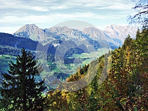 Forests in the Thur River valley or in the Thurtal valley