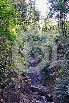 The beauty of forests and waterfalls in nature