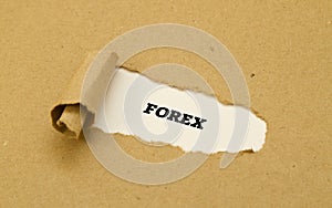 Forex written under torn paper concept.