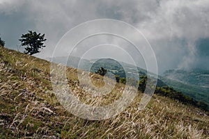 Forge on the slopes of the summer mountains