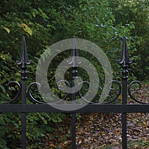 Forged black decorative wrought iron fence closeup, autumnal trees background, fallen leaves, horizontal large autumn park scene