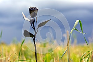 forged flower among the green grass