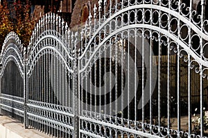 Forged iron fence