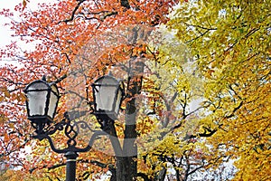 Forged lanterns in the park on the background of autumn trees