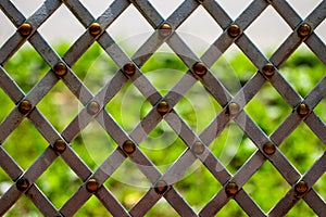 Forged mesh with green grass on background