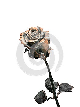 Forged metal rose
