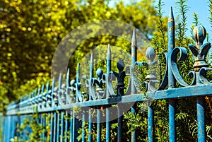 Forged speared fence. Paris - France