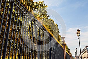 Forged speared fence. Paris - France