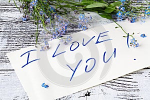 Forget-me-not flower on anÃÂ² love note