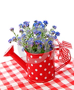 Forget-me-not flowers