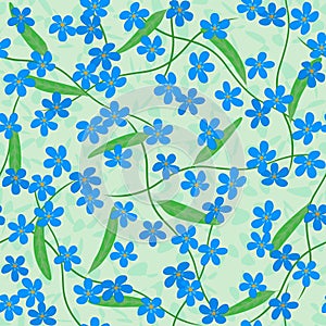 Forget me not flowers