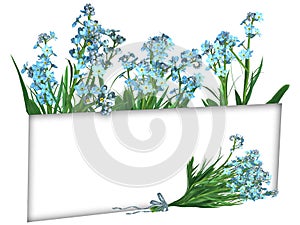 Forget-me-not Flowers, frame