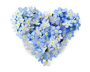 Forget-me-not flowers in a shape of a heart