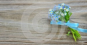 Forget-me-not flowers