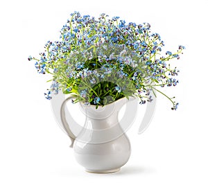 Forget me not flowers in vase isolated on white background