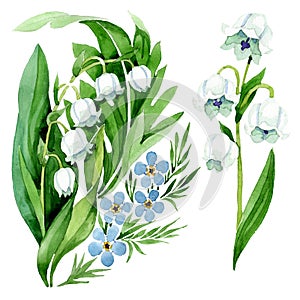Forget me not and lily of the valley floral botanical flowers. Watercolor background illustration set.