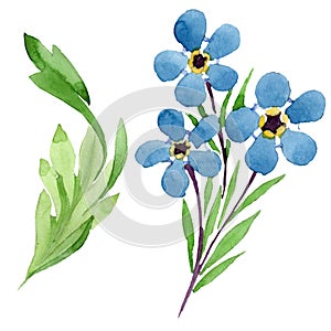 Forget me not and lily of the valley floral botanical flowers. Watercolor background illustration set.