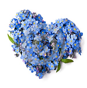 Forget me not, little flowers in heart shape, isolated on white