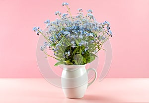 Forget me not on a pink background