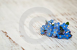 Forget-me-nots flowers