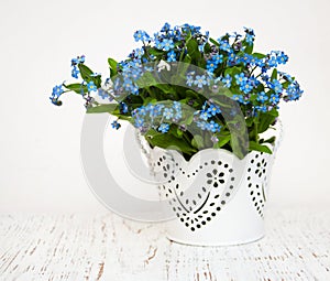 Forget me nots flowers