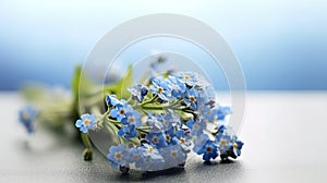 Forget-me-nots flowers on a blue background