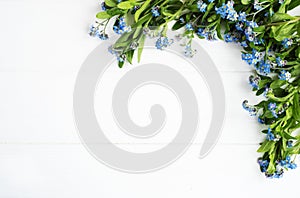 Forget-me-nots flowers border