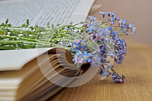 Forget me nots lying on the open book