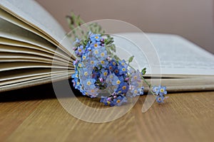 Forget me nots lying on the open book