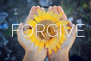 Forgiveness concept. Single word, text message on a sunflower blossom in hand - FORGIVE. Forgiving inspirational quote in hands. photo