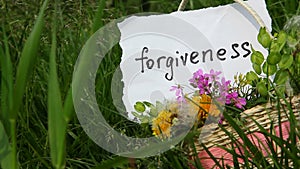 Forgiveness, word on white paper on green nature background