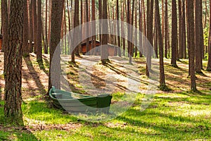 Forgotten and abandoned boat kayak in a forest between woods on the green grass, Moletai, Lithuania.