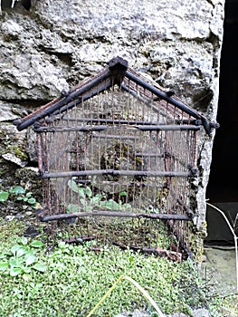 Forgotten bird cage