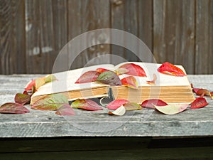 Forgotten book lying on a wooden bench strewn with autumn leaves