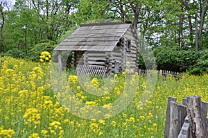 Forgotten cabin