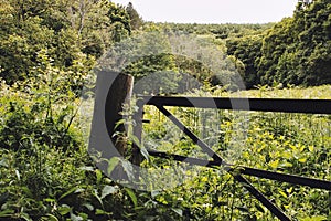 Forgotten disused gate to in overgrown field renature wood