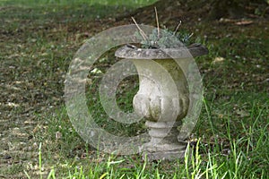 Forgotten grave vase.