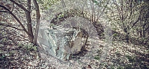 A forgotten grave in the woods